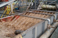 Green bean washer at receiving